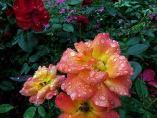 精准到分钟，及时天气预报，让你不再淋雨的下载神器