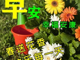 从天气预报到天气网，我们如何一步步读懂天空的表情包