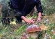 湖南未来三天天气预报，晴雨交替，气温小幅波动