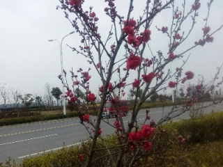 宜城天气预报，古城风韵与气象变幻的交响曲
