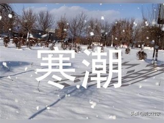 2023年最新版天气预报APP免费下载安装指南，精准预报，出行无忧