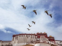 拉萨天气，日光城的冷暖人间