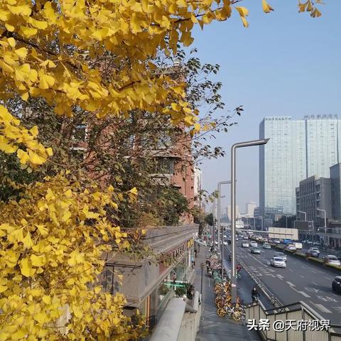 沁水十五天气预报15天(沁水十五天气预报15天查询) 沁水十五天气预报15天(沁水十五天气预报15天查询)