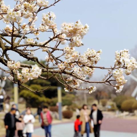 日照最新天气预报（日照最新天气预报来了没）
