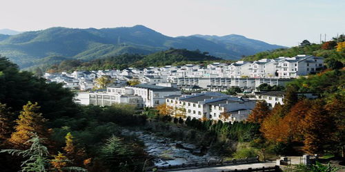 黄山市天气预报(黄山市天气预报查询) 黄山市天气预报(黄山市天气预报查询)