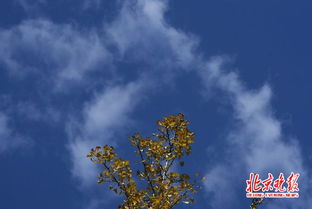 宜昌天气预报，山水之城的天气密码与生活智慧