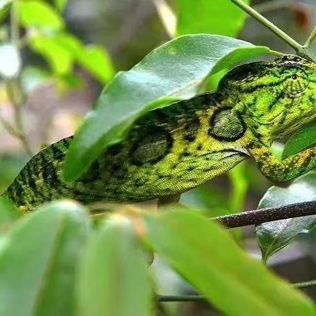 be365网站中心版V4.91.88.142ios版本-好用