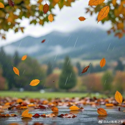 那一刻，雨如约而至