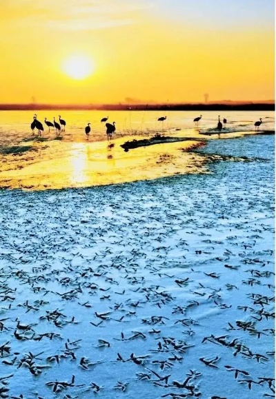 盘锦天气,湿地之都的四季变奏曲 盘锦天气,湿地之都的四季变奏曲