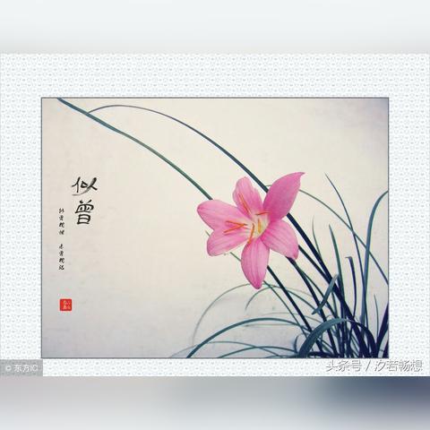 掌握天气，从容出行，天气预报下载指南