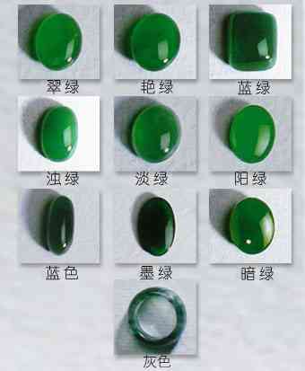盈彩网绿色版V38.15.76.257苹果版本-好用