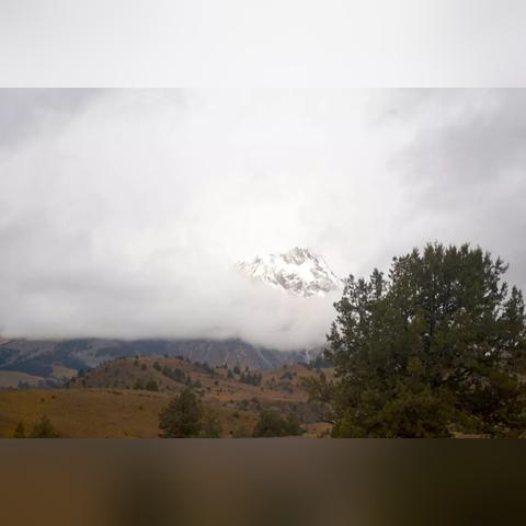 前15天天气记录，一段被遗忘的时光记忆