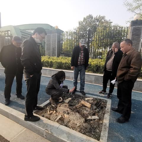 那晚七点半的固定节目，新闻联播天气预报回放里的集体记忆