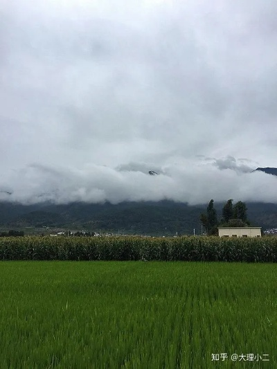 云南6月份是雨季吗?一文带你读懂云南的雨季规律 云南6月份是雨季吗?一文带你读懂云南的雨季规律