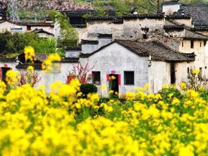 开封天气预报10天，春日古城，晴雨相宜