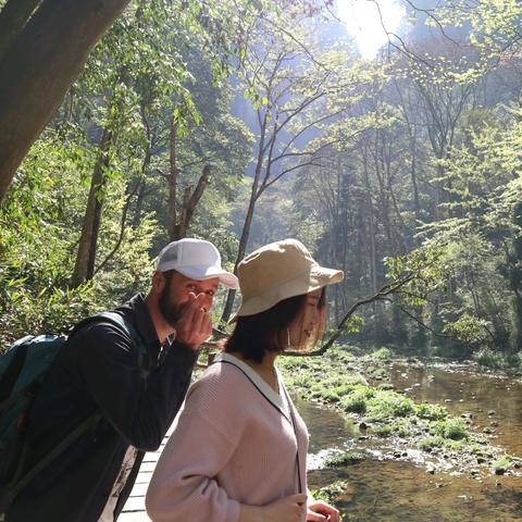 张家界十五天天气观察,山峦间的气候密码 张家界十五天天气观察,山峦间的气候密码