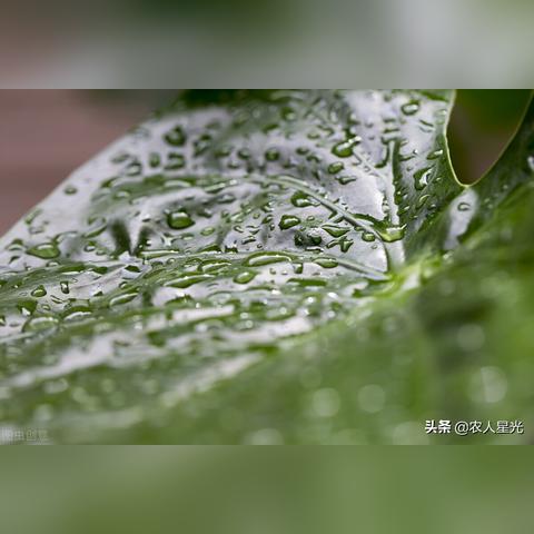 精确预报几点几分下雨