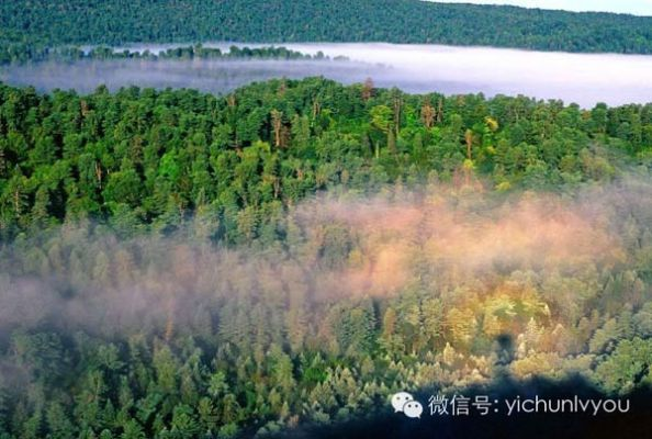 伊春的天气，林海的心跳